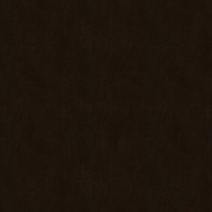 Captured Coffee by Kravet Couture Fabric NYLON - 100% United States HEAVY Horizontal: and Vertical: 54 - Fabric Carolina -