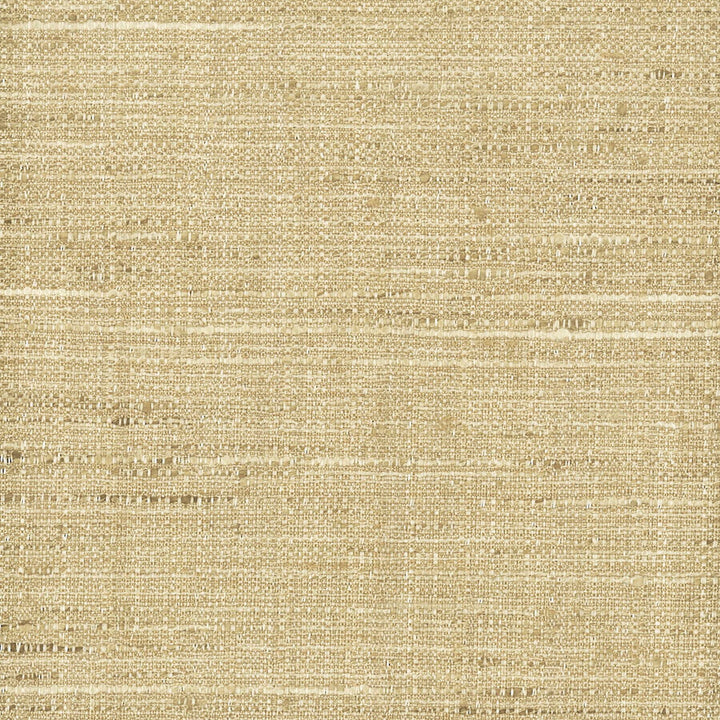 Capua 8 Camel by Stout Fabric Temptation Drapery Textures 100% Polyester INDIA FLAME RETARDANT-CA BULLETIN 117-SECTION E FLAME RETARDANT-U.F.A.C. CLASS 1 (OR A) FLAME RETARDANT-N.F.P.A. 260A CLASS 1 WYZENBEEK 30 000 DOUBLE RUB WEAR TEST (HEAVY DUTY) Horizontal: 0 and Vertical: 0 56 in - Fabric Carolina -