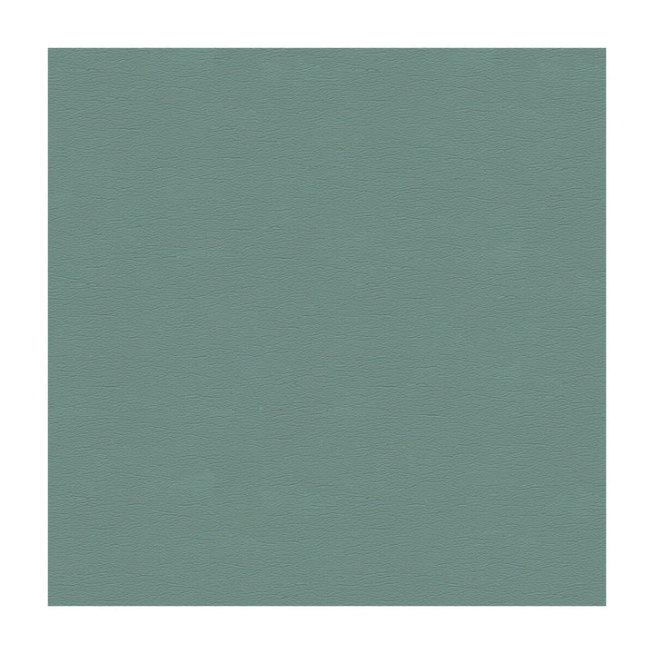 Cara-15 by Kravet Design Fabric POLYURETHANE - 100% Japan HEAVY Horizontal: and Vertical: 54 - Fabric Carolina -