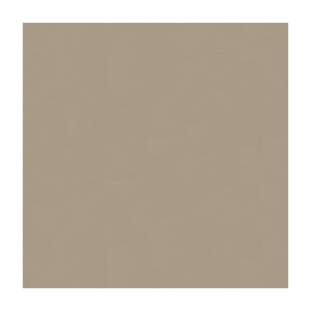 Cara-1601 by Kravet Design Fabric POLYURETHANE - 100% Japan HEAVY Horizontal: and Vertical: 54 - Fabric Carolina -