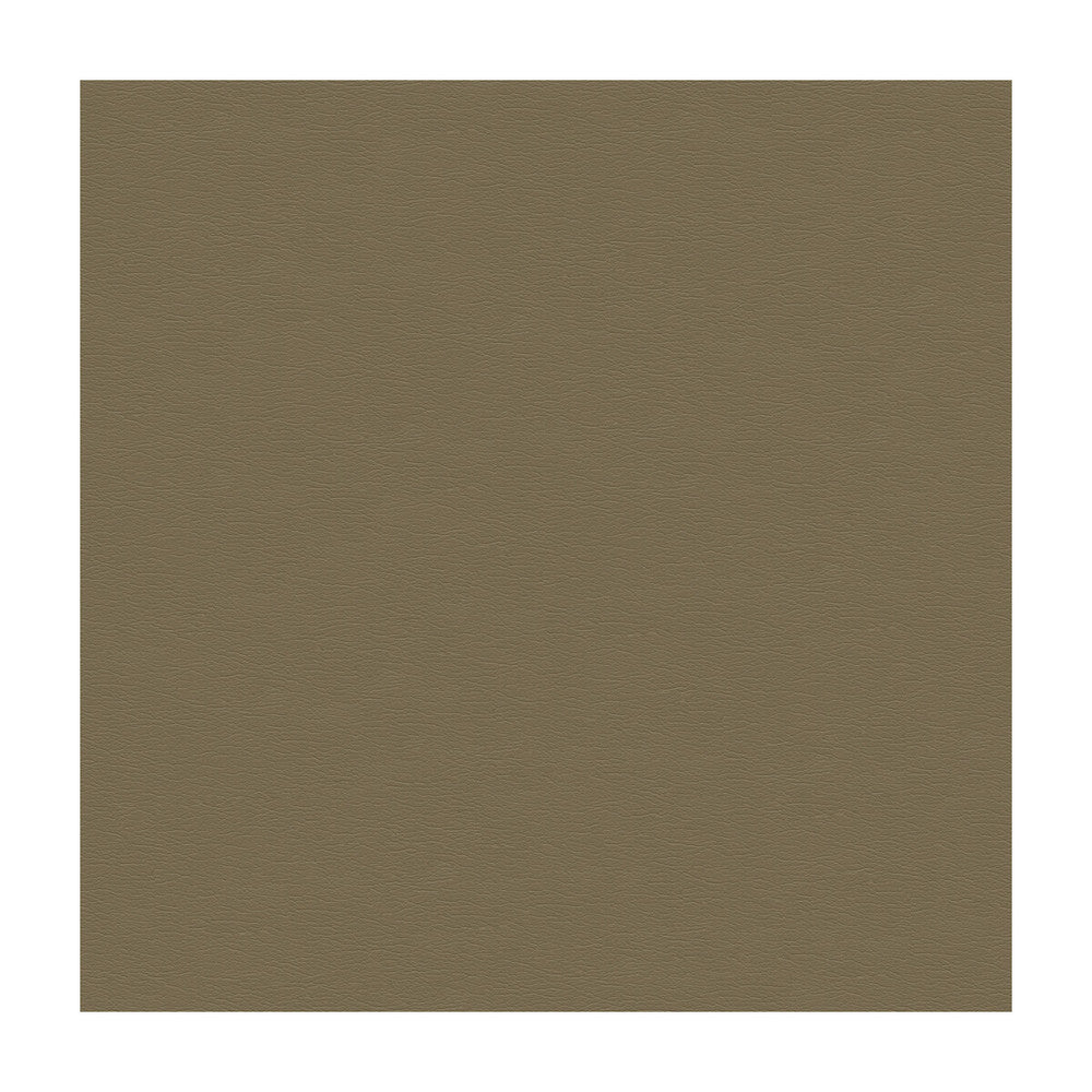 Cara-1611 by Kravet Design Fabric POLYURETHANE - 100% Japan HEAVY Horizontal: and Vertical: 54 - Fabric Carolina -