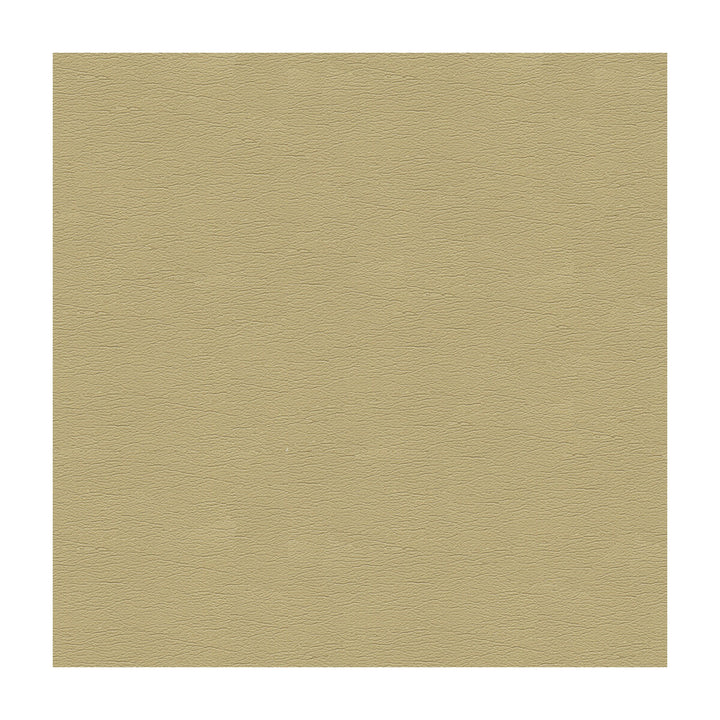 Cara-16 by Kravet Design Fabric POLYURETHANE - 100% Japan HEAVY Horizontal: and Vertical: 54 - Fabric Carolina -