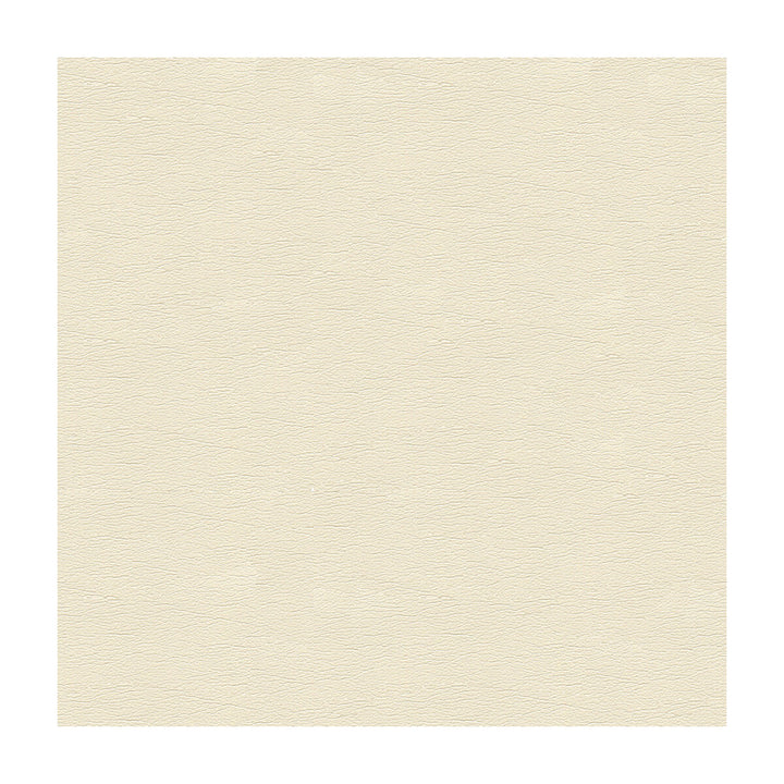 Cara-1 by Kravet Design Fabric ULTRALEATHER PLUS IV POLYURETHANE - 100% Japan HEAVY Horizontal: - and Vertical: - 54 - Fabric Carolina -