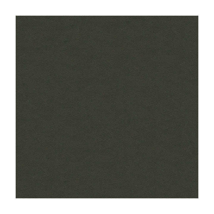 Cara-21 by Kravet Design Fabric ULTRALEATHER PLUS IV POLYURETHANE - 100% Japan HEAVY Horizontal: - and Vertical: - 54 - Fabric Carolina -
