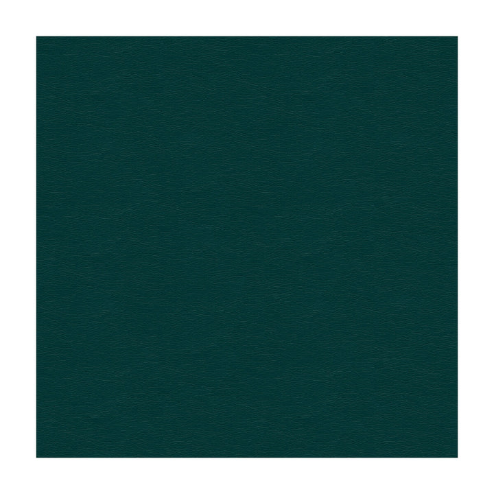 Cara-35 by Kravet Design Fabric ULTRALEATHER PLUS IV POLYURETHANE - 100% Japan HEAVY Horizontal: - and Vertical: - 54 - Fabric Carolina -