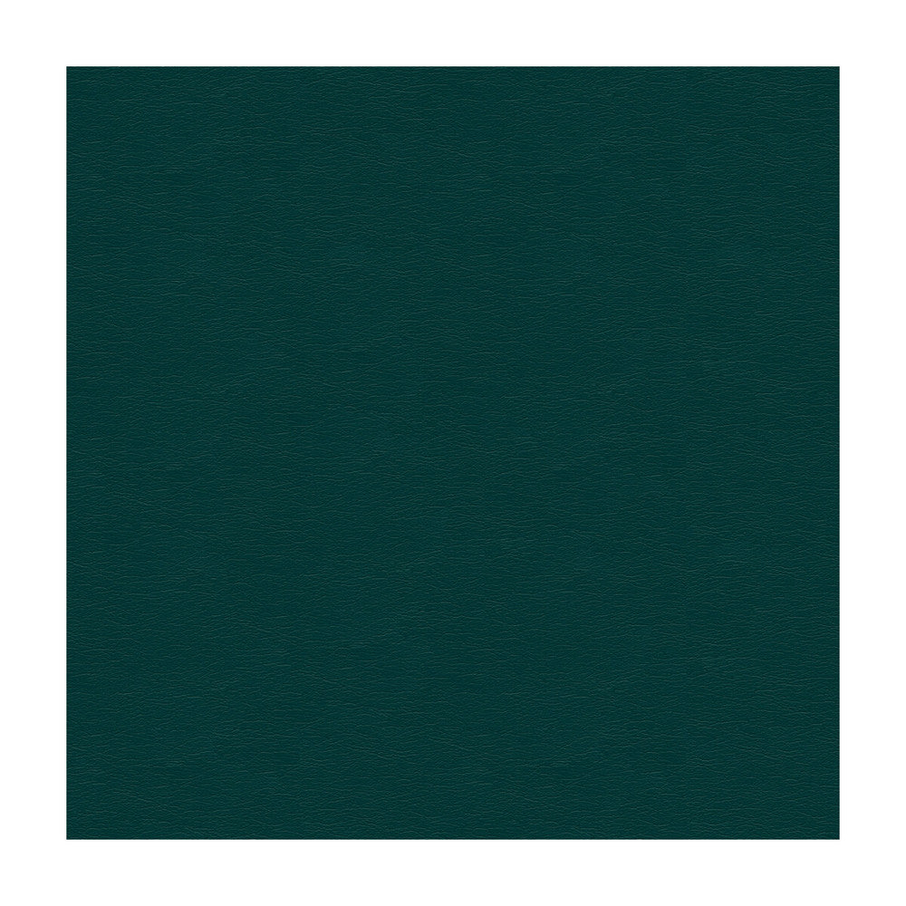 Cara-35 by Kravet Design Fabric ULTRALEATHER PLUS IV POLYURETHANE - 100% Japan HEAVY Horizontal: - and Vertical: - 54 - Fabric Carolina -