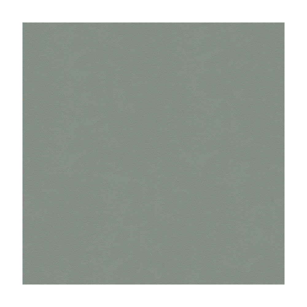 Cara-52 by Kravet Design Fabric ULTRALEATHER PLUS IV POLYURETHANE - 100% Japan HEAVY Horizontal: - and Vertical: - 54 - Fabric Carolina -