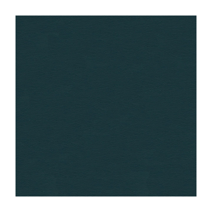 Cara-5 by Kravet Design Fabric ULTRALEATHER PLUS IV POLYURETHANE - 100% Japan HEAVY Horizontal: - and Vertical: - 54 - Fabric Carolina -