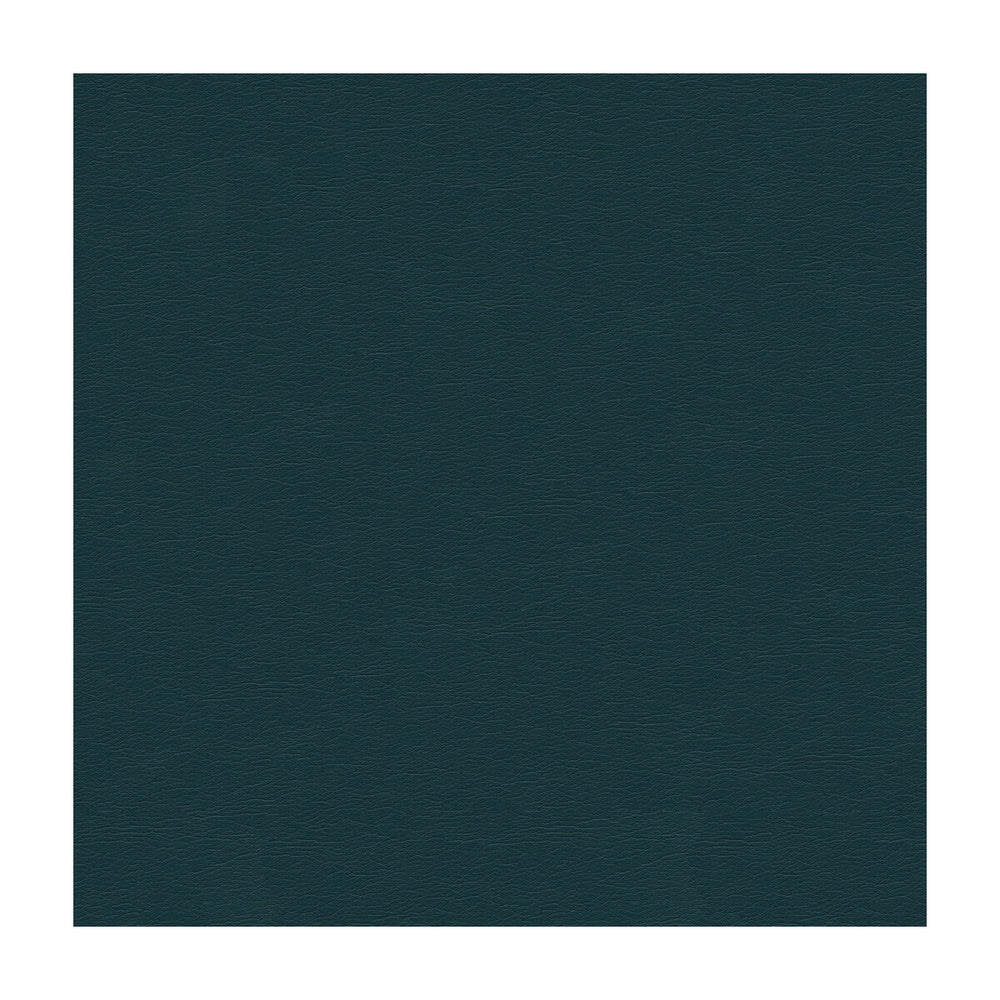 Cara-5 by Kravet Design Fabric POLYURETHANE - 100% Japan HEAVY Horizontal: and Vertical: 54 - Fabric Carolina -
