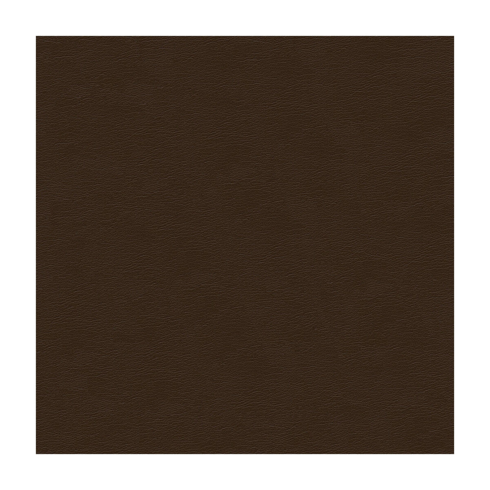 Cara-66 by Kravet Design Fabric ULTRALEATHER PLUS IV POLYURETHANE - 100% Japan HEAVY Horizontal: - and Vertical: - 54 - Fabric Carolina -
