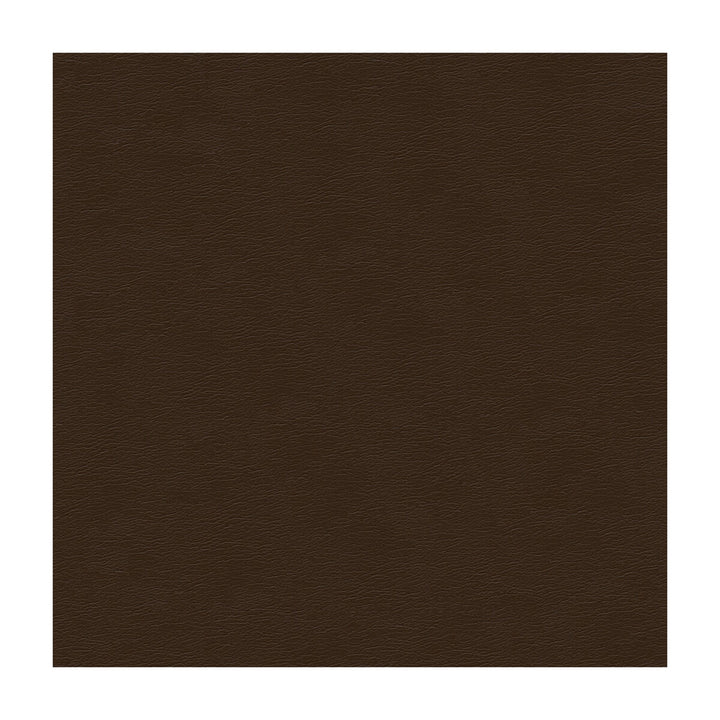 Cara-66 by Kravet Design Fabric ULTRALEATHER PLUS IV POLYURETHANE - 100% Japan HEAVY Horizontal: - and Vertical: - 54 - Fabric Carolina -