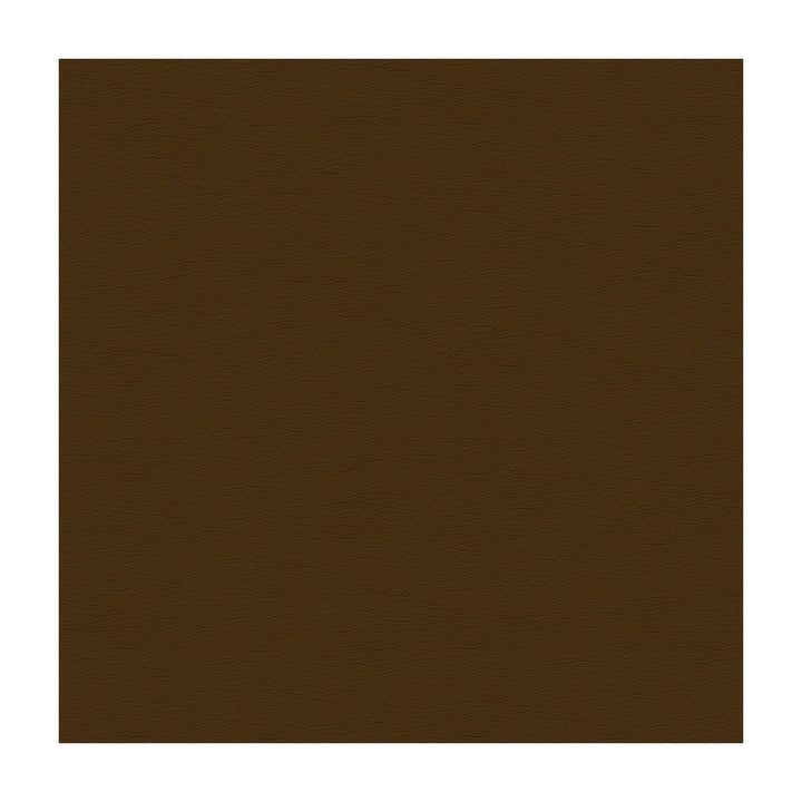 Cara-6 by Kravet Design Fabric ULTRALEATHER PLUS IV POLYURETHANE - 100% Japan HEAVY Horizontal: - and Vertical: - 54 - Fabric Carolina -