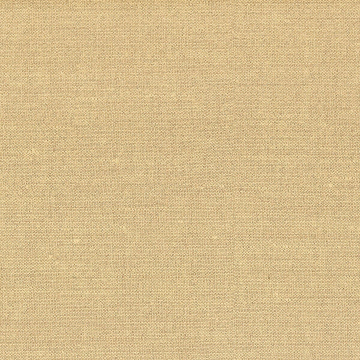 Cardinal 7 Raffia by Stout Fabric On The Go 100% Polyvinylchloride 1% Other TAIWAN FLAME RETARDANT-U.F.A.C. CLASS 1 (OR A) CATB 117-2013 250 000 WYZENBEEK DOUBLE RUB WEAR TEST(EXTREMELY HEAVY DUTY) FLAME RETARDANT-FMVSS 302 Horizontal: 0 and Vertical: 0 54 in - Fabric Carolina -
