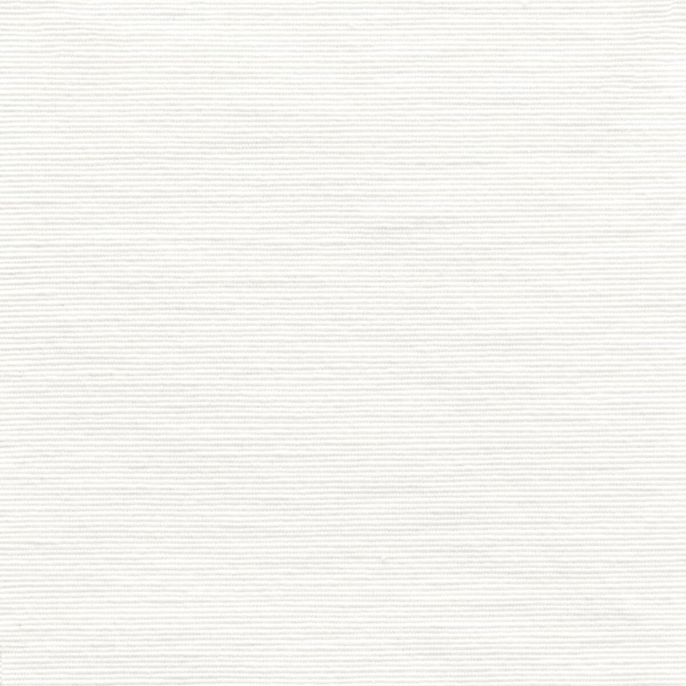 Carey 1 White by Stout Fabric THE NATURALS 86%COT 14%POL USA FLAME RETARDANT-CA BULLETIN 117-SECTION E FLAME RETARDANT-U.F.A.C. CLASS 1 WYZENBEEK 15 000 DOUBLE RUB WEAR TEST (HEAVY DUTY) Horizontal: 0 and Vertical: 0 54 in - Fabric Carolina -