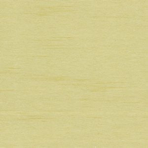 Cargo Citrus by Norbar Designer Fabric 100 POLYESTER TAIWAN 54 - Swanky Fabrics -