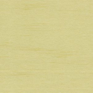 Cargo Citrus by Norbar Fabric 100 POLYESTER TAIWAN 54 - Fabric Carolina -