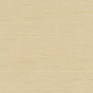 Cargo Dijon by Norbar Fabric 100 POLYESTER TAIWAN 54 - Fabric Carolina -