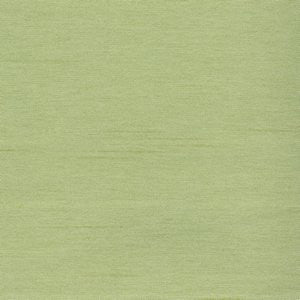 Cargo Dill by Norbar Fabric 100 POLYESTER TAIWAN 54 - Fabric Carolina -