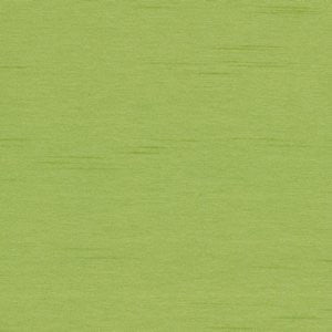 Cargo Keylime by Norbar Fabric 100 POLYESTER TAIWAN 54 - Fabric Carolina -