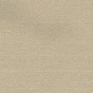 Cargo Muslin by Norbar Fabric
