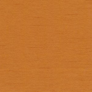 Cargo Pumpkin by Norbar Fabric