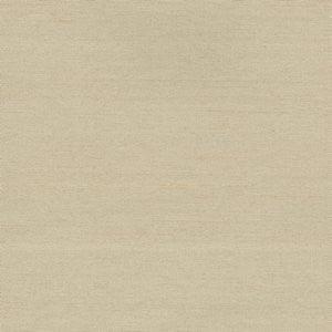Cargo Rye by Norbar Fabric 100 POLYESTER TAIWAN 54 - Fabric Carolina -