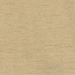 Cargo Toast by Norbar Fabric 100 POLYESTER TAIWAN 54 - Fabric Carolina -
