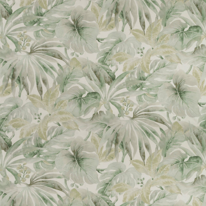 Carles-23 by Kravet Basics Fabric COTTON - 100% Peru HEAVY Horizontal: 27 and Vertical: 36 54 - Fabric Carolina -