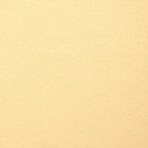 Carmel Ecru by Norbar Fabric See Sample 100% BELLA DURA POLYOLEFIN USA 100,000 WYZENBEEK 54 - Fabric Carolina -