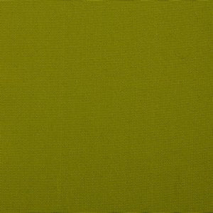 Carmel Keylime by Norbar Fabric OUTDOOR WEB 100% BELLA DURA POLYOLEFIN USA 100,000 WYZENBEEK </p><p>Repeat: 54 - Fabric Carolina -