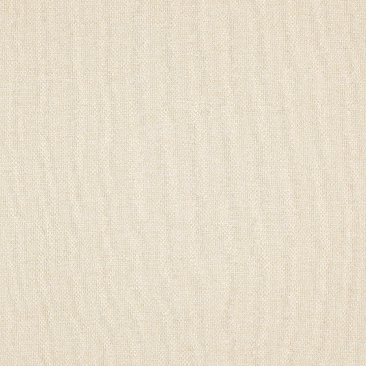 Carmen 30J8301 by JF Fabric Everyday Crusader Fibreguard 85% Polyester, 15% Cotton China 100000 Horizontal: and Vertical: 57 - Fabric Carolina -