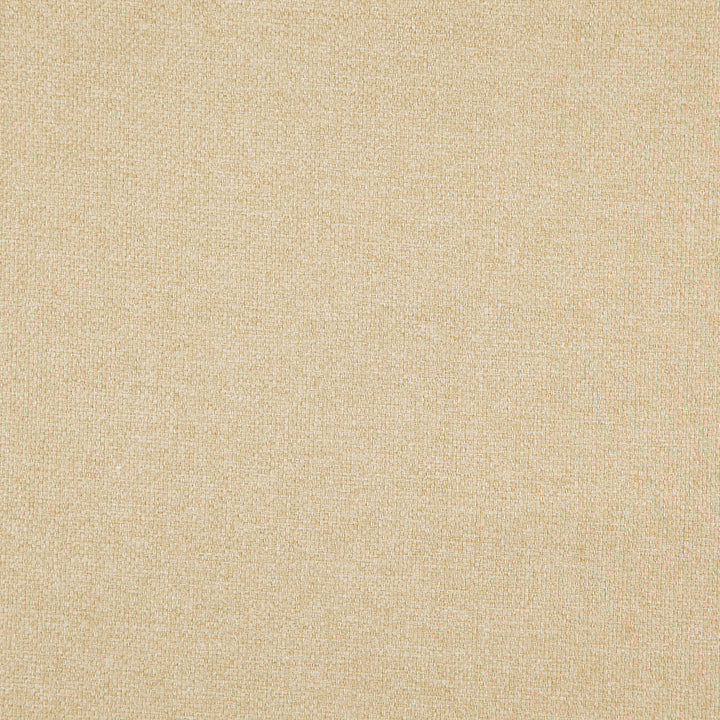 CARMEN 32J8301 by JF Fabric Everyday Crusader Fibreguard 85% Polyester, 15% Cotton China Horizontal: and Vertical: 57 - Fabric Carolina -