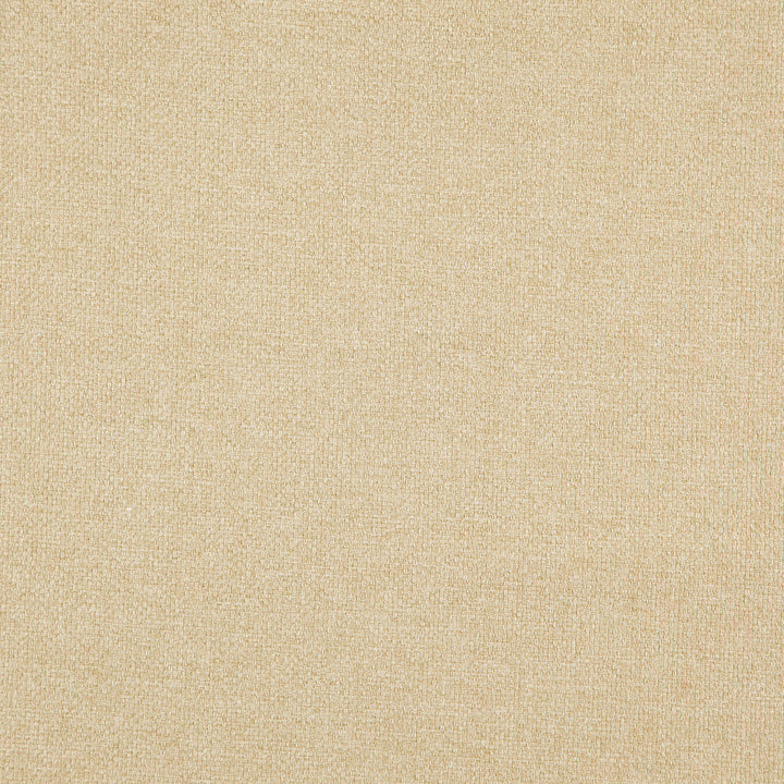 Carmen 32J8301 by JF Designer Fabric Everyday Crusader Fibreguard 85% Polyester, 15% Cotton China 100000 Horizontal: and Vertical: 57 - Swanky Fabrics -