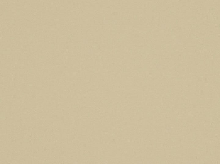 Carneros Cream Cream by Covington Fabric 100% POLYESTER FR Taiwan Horizontal: 0 and Vertical: 0 58 - Fabric Carolina -