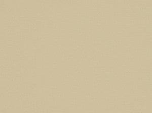 Carneros Cream Cream by Covington Fabric