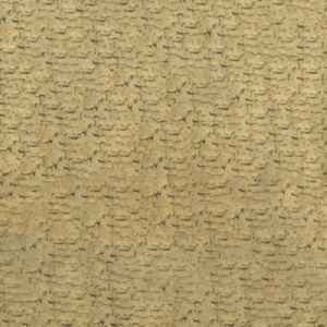 Carolina Coin 54 by Norbar Fabric