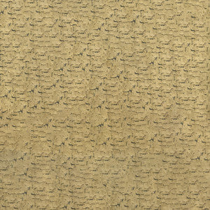 Carrara 54 Coin by ABBEYSHEA Fabric