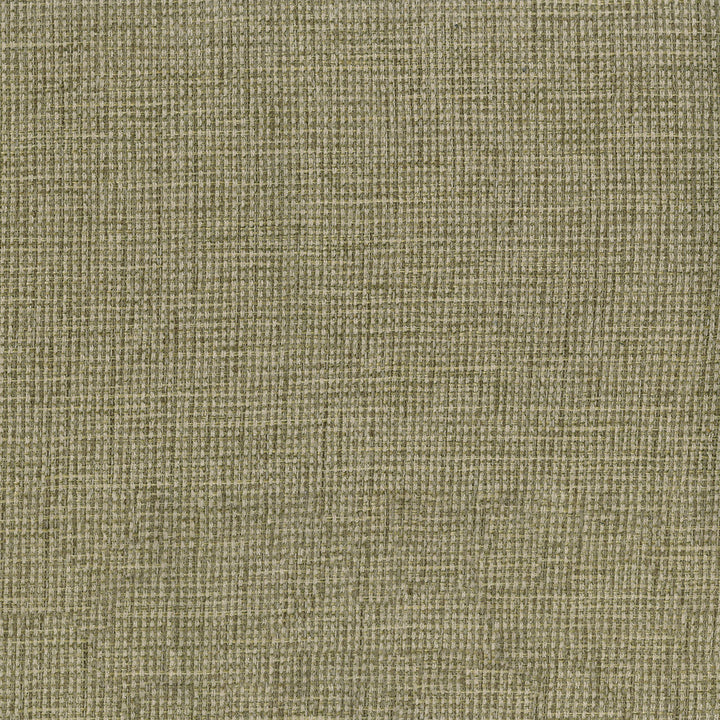 Carson 205 Sawgrass by ABBEYSHEA Fabric 100% Polyester CN 45,000 Double Rubs (Wyzenbeek) </p><p>Repeat: Horizontal: and Vertical: 57 in. (145 cm) - Fabric Carolina -