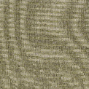 Carson 205 Sawgrass by ABBEYSHEA Fabric