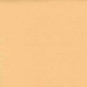 Casbah Wheat by Norbar Fabric 100% POLYESTER INDIA 54" - Fabric Carolina -