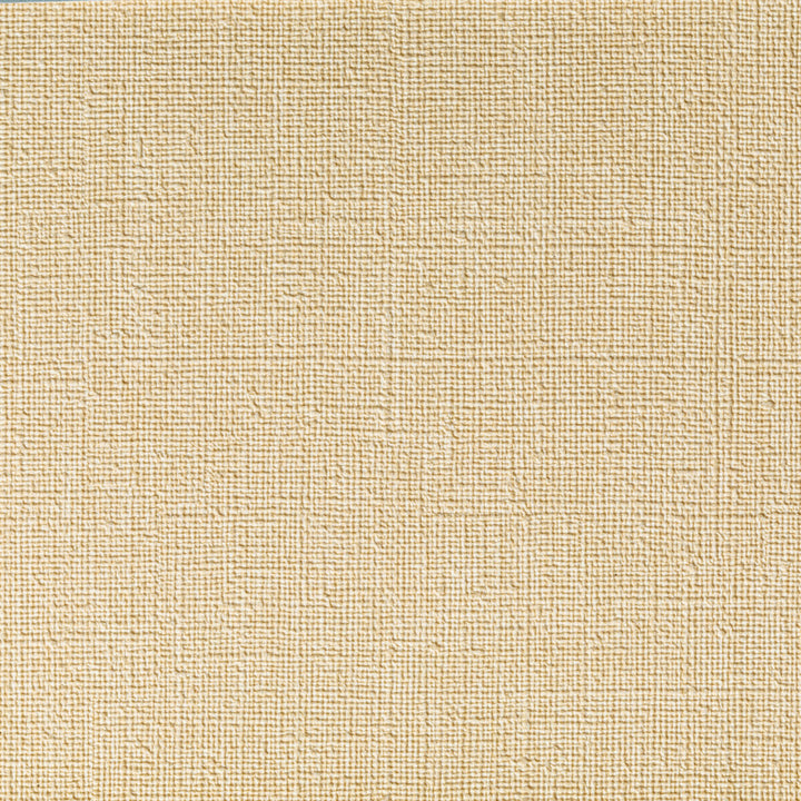Caslin Linen by Kravet Contract Fabric FOUNDATIONS / VALUE PVC - ARTIFICIAL LEATHER - 100% China HEAVY Horizontal: 0 and Vertical: 0 54 - Fabric Carolina -
