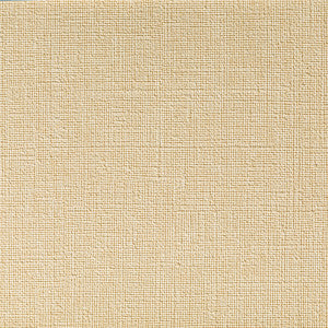 Caslin Linen by Kravet Contract Fabric