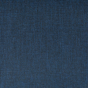 Caslin Ink by Kravet Contract Fabric