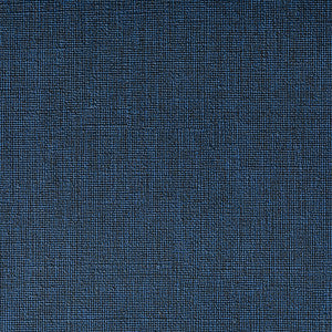 Caslin Ink by Kravet Contract Fabric
