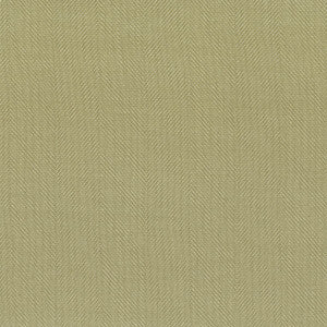 Cassago 6 Aloe by Sunbrella Fabric