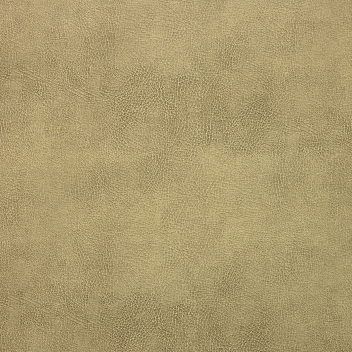 Caswell-16 by Kravet Design Fabric - POLYESTER - 55%;POLYURETHANE - 45% Korea, Republic of HEAVY Horizontal: 0 and Vertical: 0 54 - Fabric Carolina -