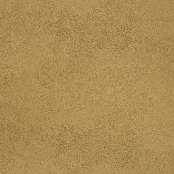 Caswell-4 by Kravet Design Fabric POLYESTER - 55%;POLYURETHANE - 45% Korea, Republic of HEAVY Horizontal: 0 and Vertical: 0 54 - Fabric Carolina -