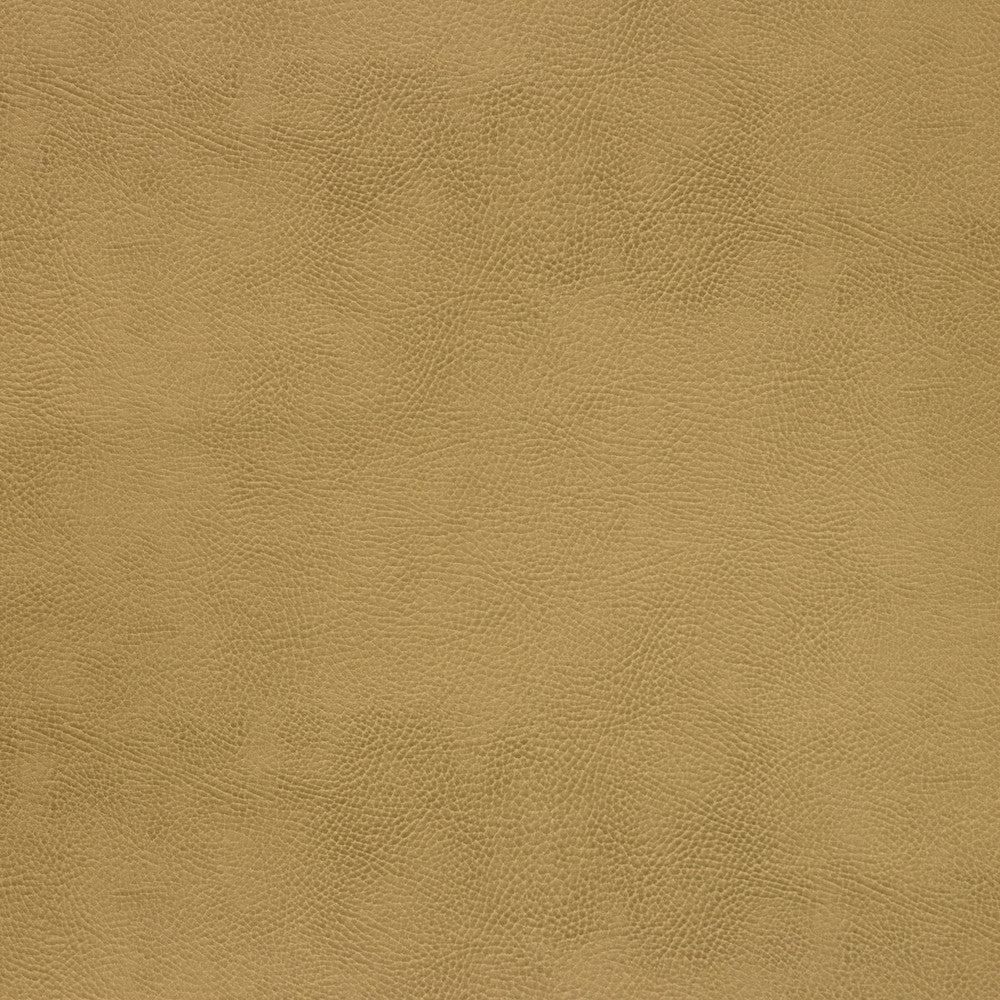 Caswell-4 by Kravet Design Fabric - POLYESTER - 55%;POLYURETHANE - 45% Korea, Republic of HEAVY Horizontal: 0 and Vertical: 0 54 - Fabric Carolina -
