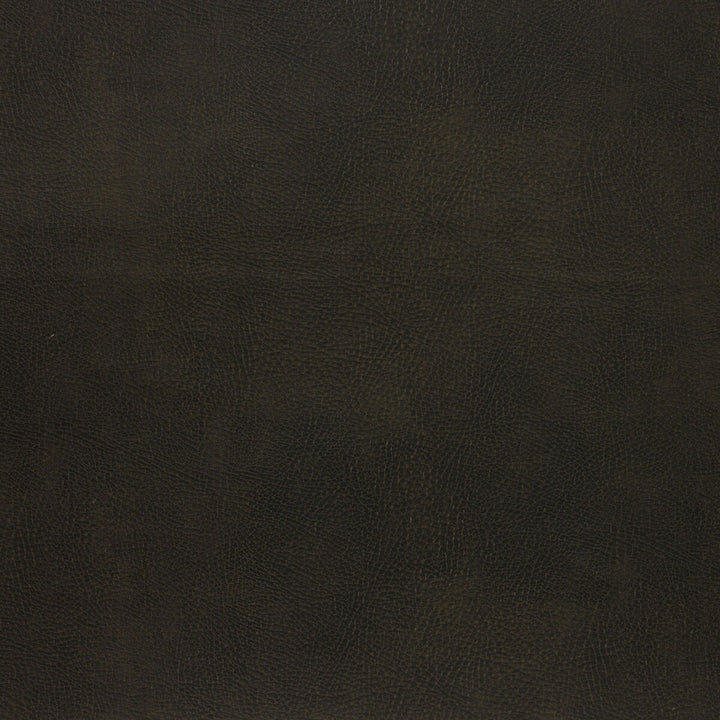 Caswell-66 by Kravet Design Fabric POLYESTER - 55%;POLYURETHANE - 45% Korea, Republic of HEAVY Horizontal: 0 and Vertical: 0 54 - Fabric Carolina -