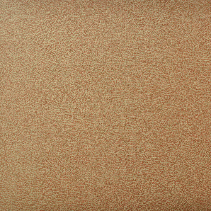 Caswell-6 by Kravet Design Fabric POLYESTER - 55%;POLYURETHANE - 45% Korea, Republic of HEAVY Horizontal: 0 and Vertical: 0 54 - Fabric Carolina -